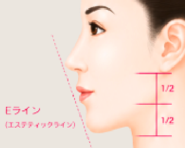 フェイシャルライン矯正・Eライン